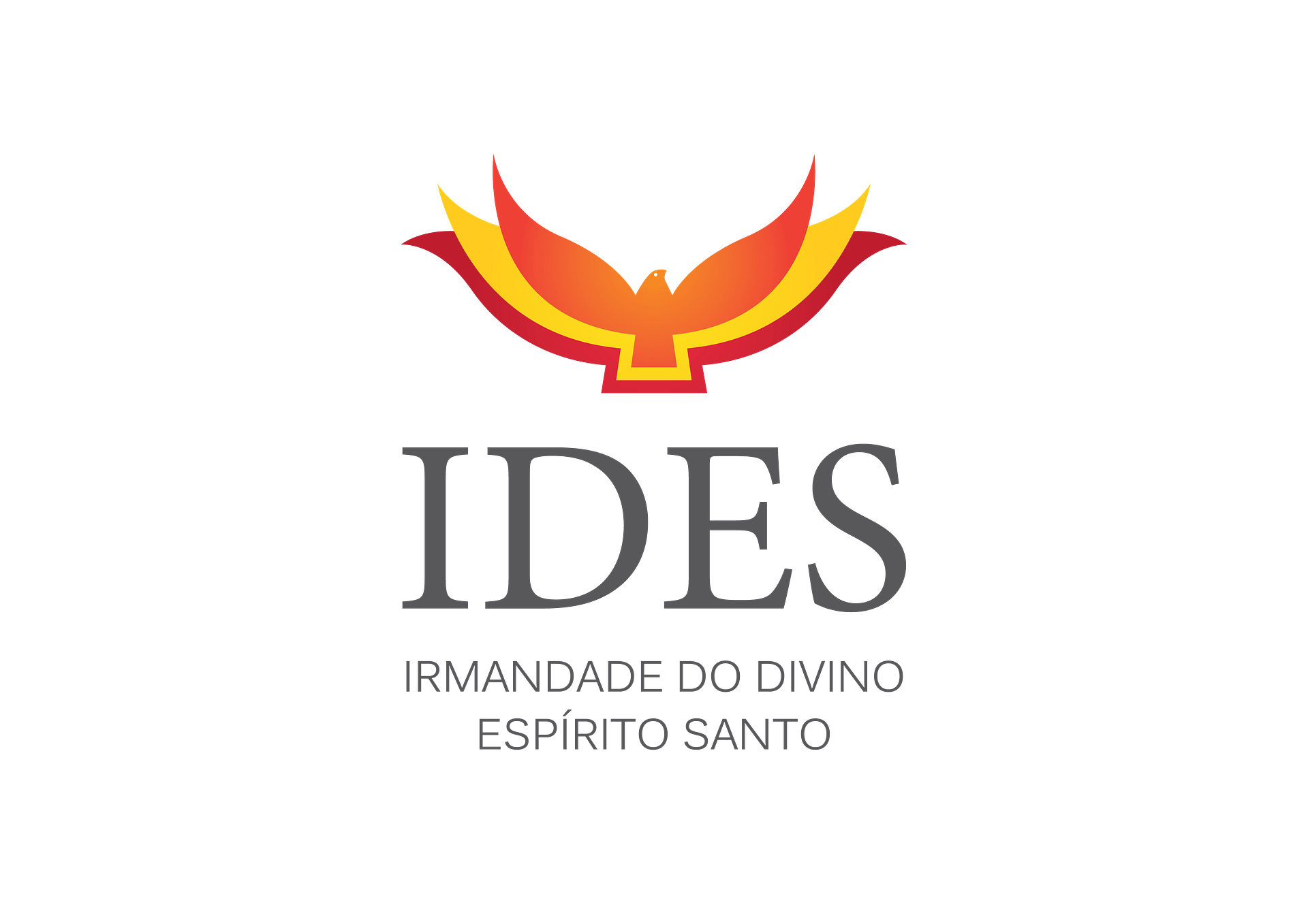 IDES_LOGO fonte cinza (5)
